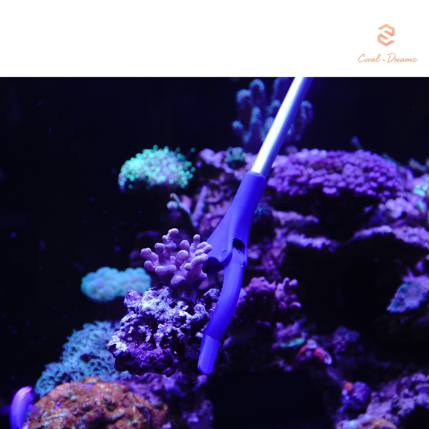 Maxspect Coral Gripper 83cm - Korallenzange