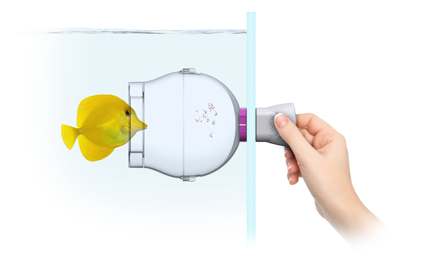 Nyos Floating Fish Trap - Fischfalle