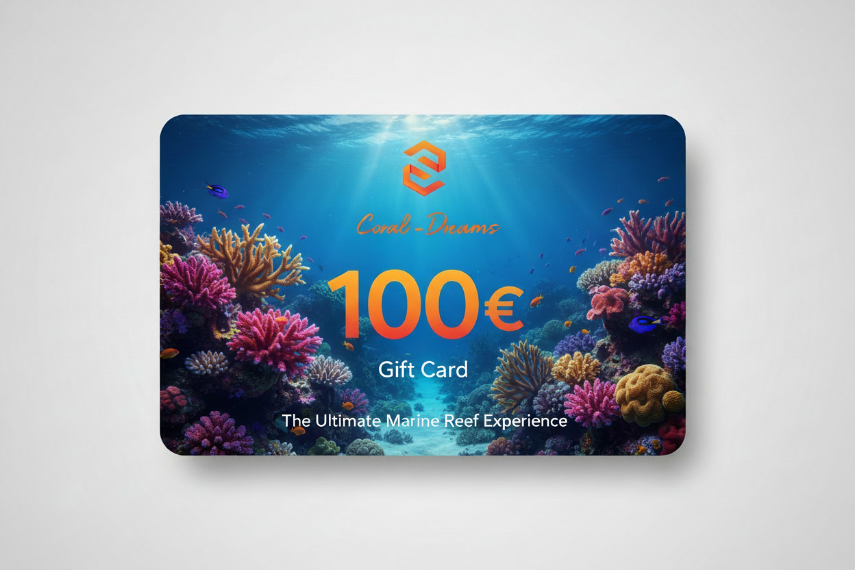 Coral-Dreams Geschenkgutschein 100€