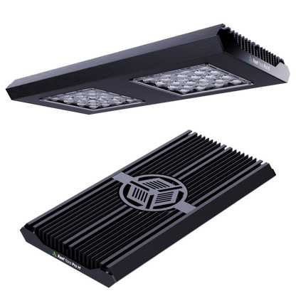 Reef Factory Reef flare Pro M 160 W (black)