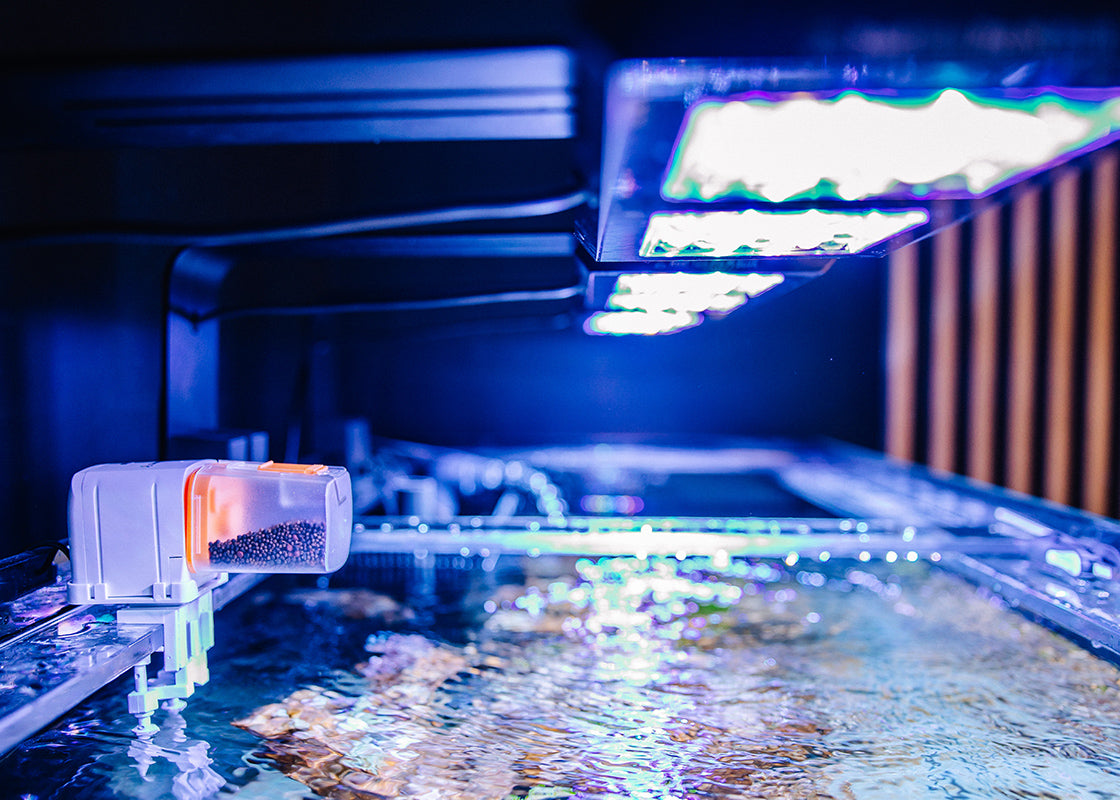 Reef Factory Smart Feeder