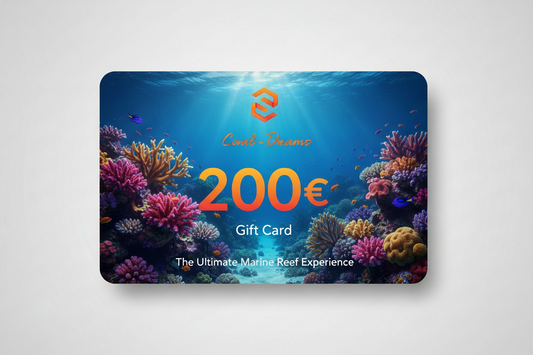 Coral-Dreams Geschenkgutschein 200€