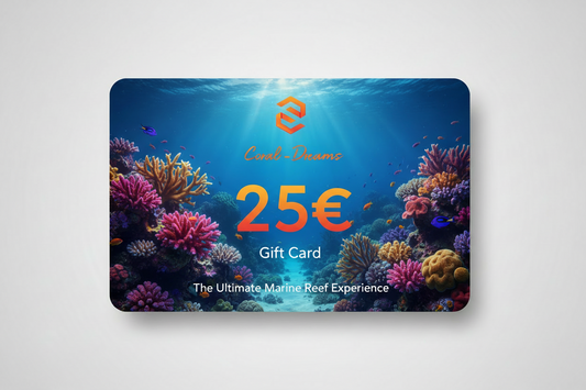 Coral-Dreams Geschenkgutschein 25€