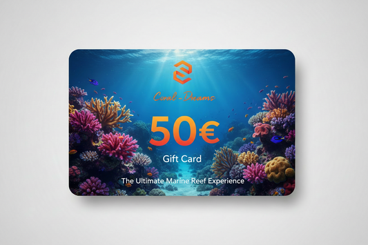 Coral-Dreams Geschenkgutschein 50€