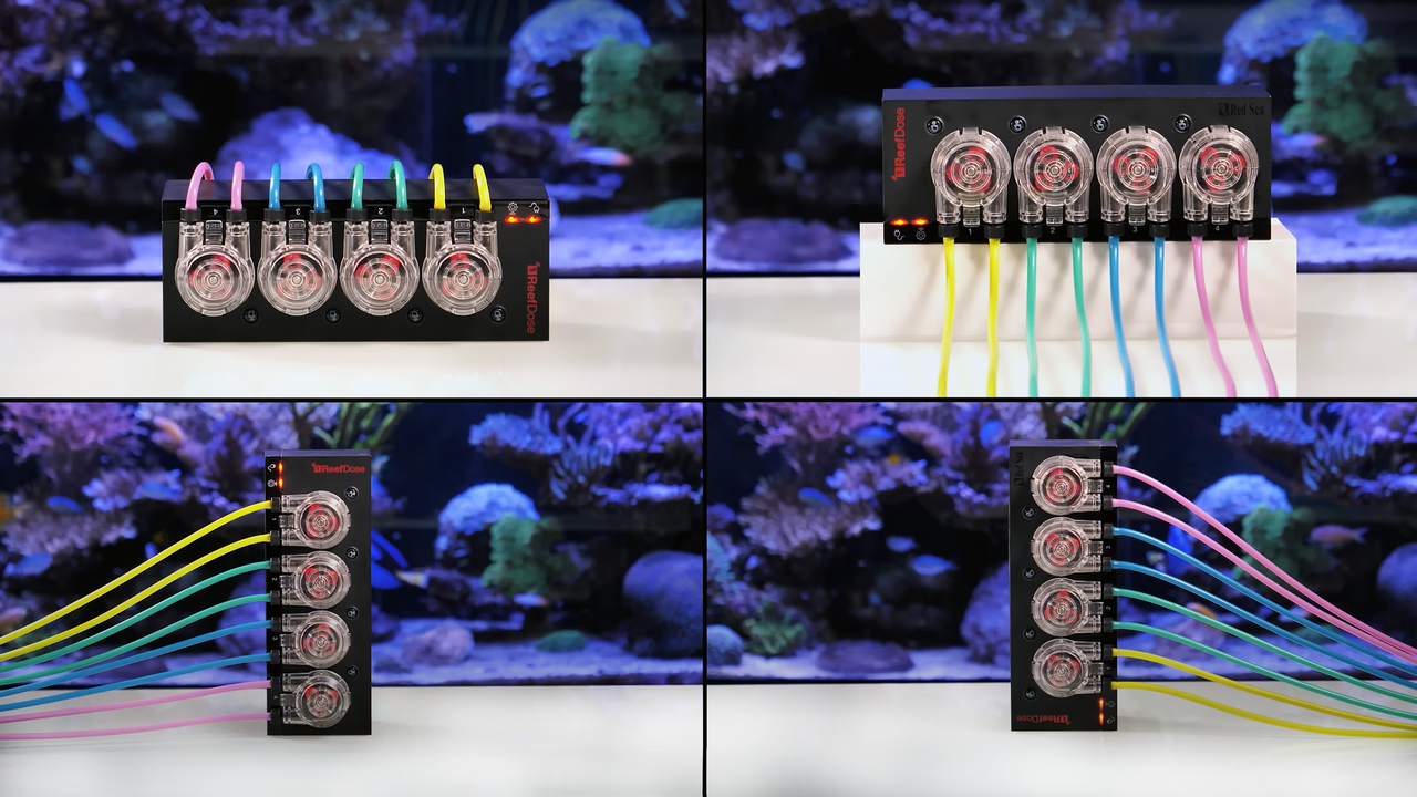 Red Sea Reef Dose 2 (R35310) Dosierpumpe