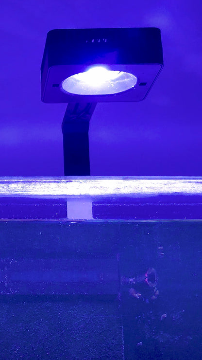 Red Sea ReefLED G2 60 (60W) R35910EUR