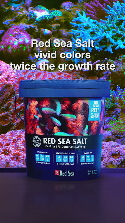 Red Sea Salt - 20.1 kg  (Box) R11062