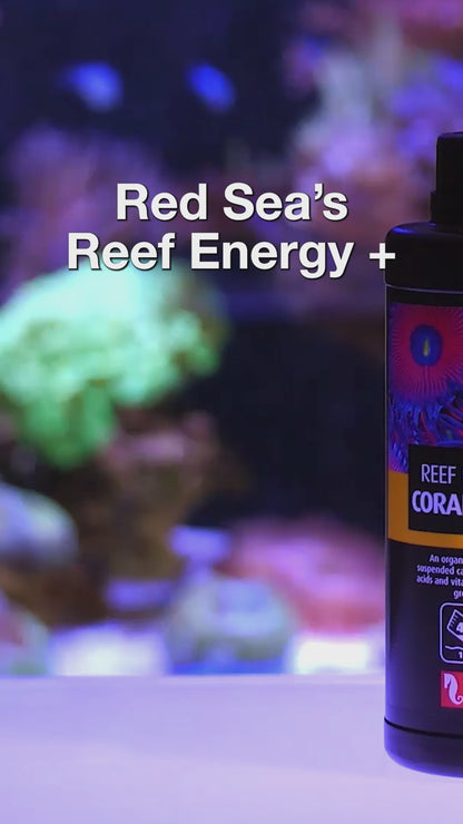 Red Sea Reef Energy Plus AB+ 1000 ml R22104